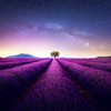 Purple-Daydreams's avatar