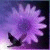 PurpleDaizie's avatar