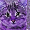 purplekittysss's avatar