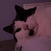 PurpleOdx's avatar