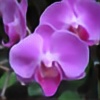 Purpleorchids869's avatar