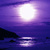 purplesunset's avatar