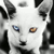 purpleyelloworange's avatar