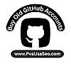 pvausaseo21's avatar