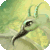 pycc-fantasy's avatar