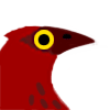 quacknear's avatar