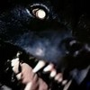 Quawolf's avatar