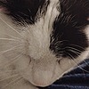 QueasyChumBungleLard's avatar