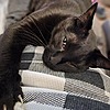 QueenMable's avatar
