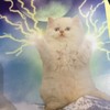 queenofcats17's avatar