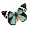 Quijuka's avatar