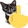 Quintisquitequirky's avatar