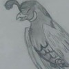 QuirkytheQuail's avatar