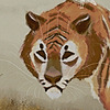 Raawana's avatar