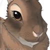 rabbit-art's avatar