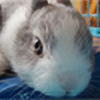 Rabbit-Luck's avatar