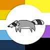 raccoon-nb's avatar