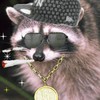 RaccoonLord13's avatar