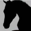 Racehorsee's avatar