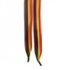 rainbow-shoelaces's avatar