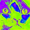 rainbowcolors1356's avatar