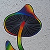 RainbowMushroom1990's avatar