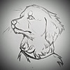 raining-sky's avatar