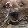 rainingabronzey's avatar