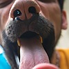 RaKooNZacK's avatar