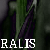 Ralis's avatar