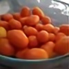 random-kumquats's avatar