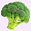 RandomBroccoli's avatar