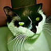 RandomlyRelevant's avatar