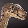 RaptorFan9000's avatar