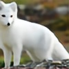rarity-fox's avatar