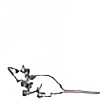 Rat-eyed's avatar