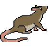 Rat-of-the-DarkAges's avatar