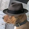 Rataliberada's avatar
