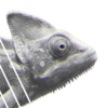 ratbug2000's avatar