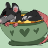 ratsoupp's avatar