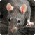 rattscabies's avatar