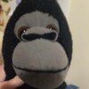 rattygorilla's avatar