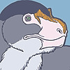 raven-amos's avatar
