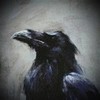 Raven1182's avatar