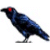 Raven1901's avatar