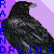 ravendruid1's avatar