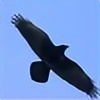 RavenKnight678's avatar