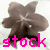 ravenlillystock's avatar