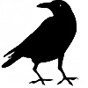 ravenousravendesign's avatar