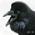Ravens-Cry's avatar